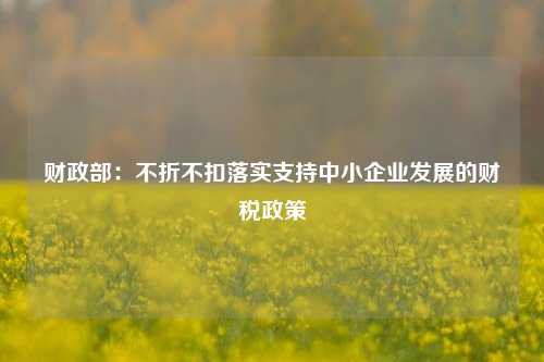 财政部：不折不扣落实支持中小企业发展的财税政策 国内宏观 中小企业融资 财税政策 行业新闻 第1张