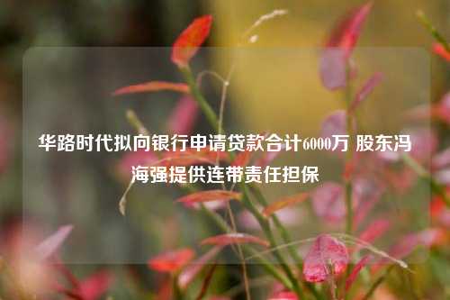 华路时代拟向银行申请贷款合计6000万 股东冯海强提供连带责任担保 股东 连带责任担保 银行 行业新闻 第1张