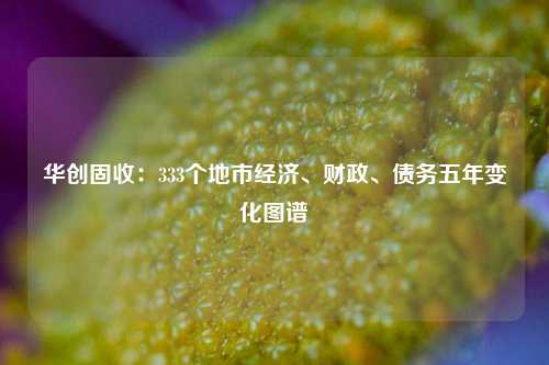 华创固收：333个地市经济、财政、债务五年变化图谱 一般公共预算 政府债务 债务率 行业新闻 第1张