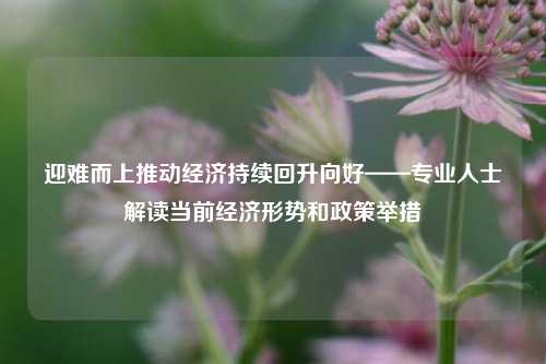 迎难而上推动经济持续回升向好——专业人士解读当前经济形势和政策举措 经济学 经济 行业新闻 第1张