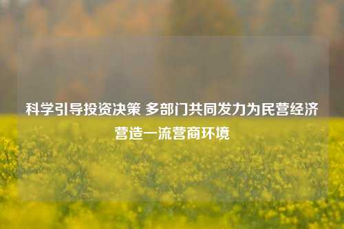 科学引导投资决策 多部门共同发力为民营经济营造一流营商环境 经济 民间投资 民营经济 行业新闻 第1张