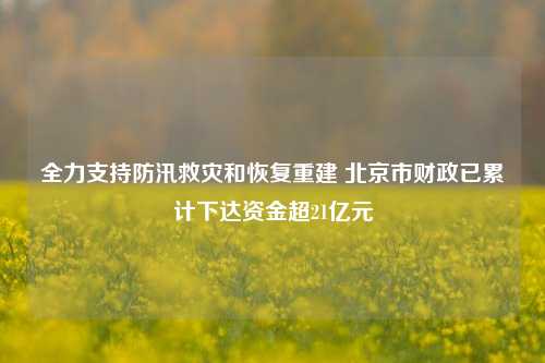 全力支持防汛救灾和恢复重建 北京市财政已累计下达资金超21亿元 时政 行业新闻 第1张