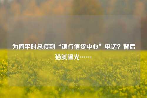 为何平时总接到“银行信贷中心”电话？背后猫腻曝光…… 客户信息 银行信贷 银行 行业新闻 第1张