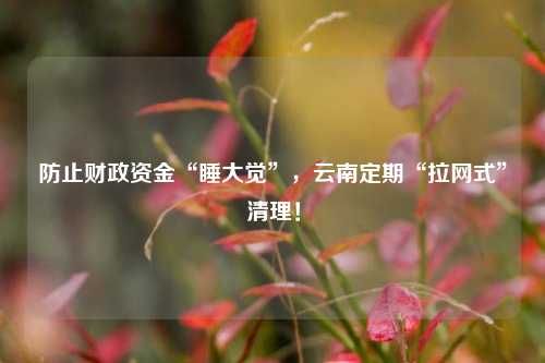防止财政资金“睡大觉”，云南定期“拉网式”清理！ 预算 宏观经济 国内宏观 行业新闻 第1张