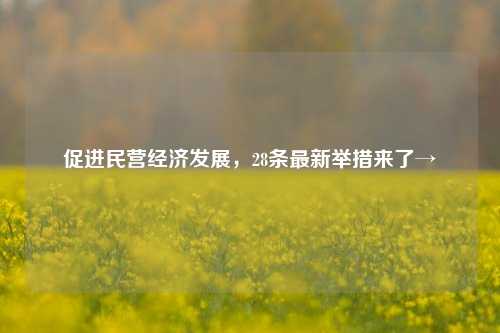 促进民营经济发展，28条最新举措来了→ 宏观经济 国内宏观 经济 行业新闻 第1张