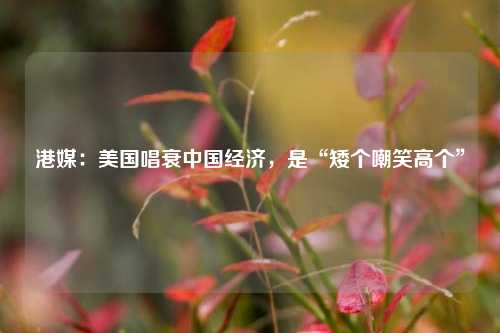 港媒：美国唱衰中国经济，是“矮个嘲笑高个” 行业新闻 第1张