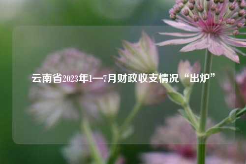 云南省2023年1—7月财政收支情况“出炉” 同期增长 预算 行业新闻 第1张