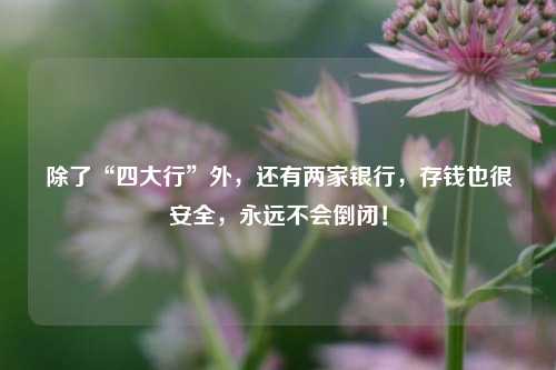 除了“四大行”外，还有两家银行，存钱也很安全，永远不会倒闭！ 交通银行 国有银行 银行 行业新闻 第1张