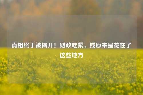 真相终于被揭开！财政吃紧，钱原来是花在了这些地方 经济 疫情 行业新闻 第1张