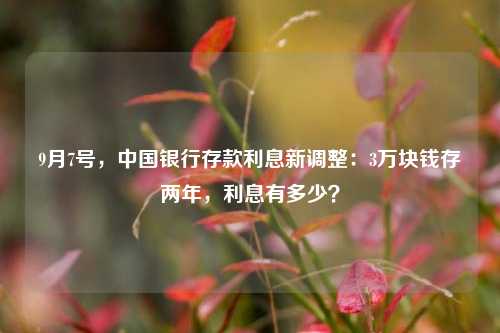 9月7号，中国银行存款利息新调整：3万块钱存两年，利息有多少？ 利息 银行 中行 行业新闻 第1张