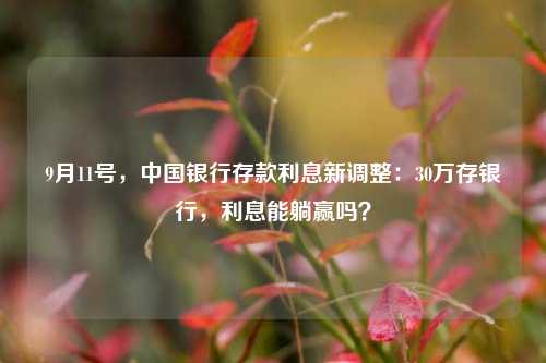 9月11号，中国银行存款利息新调整：30万存银行，利息能躺赢吗？ 大额存单利率 中行 银行 行业新闻 第1张
