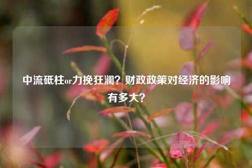 中流砥柱or力挽狂澜？财政政策对经济的影响有多大？ 货币政策 财政政策工具 行业新闻 第1张