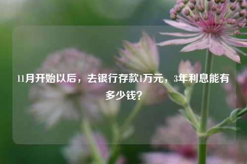 11月开始以后，去银行存款1万元，3年利息能有多少钱？ 利息 银行存款 银行 行业新闻 第1张