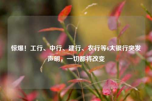 惊爆！工行、中行、建行、农行等6大银行突发声明，一切都将改变 中行 金融 银行 行业新闻 第1张