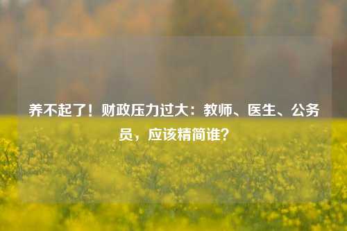 养不起了！财政压力过大：教师、医生、公务员，应该精简谁？ 公务员 行业新闻 第1张