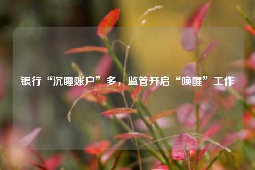 银行“沉睡账户”多，监管开启“唤醒”工作 李楠 银行监管 银行 行业新闻 第1张