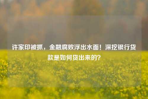 许家印被抓，金融腐败浮出水面！深挖银行贷款是如何贷出来的？ 许家印 银行贷款 银行 行业新闻 第1张