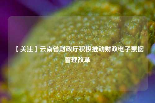 【关注】云南省财政厅积极推动财政电子票据管理改革 云南省财政厅 财政票据 电子票据 行业新闻 第1张