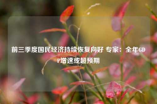 前三季度国民经济持续恢复向好 专家：全年GDP增速或超预期 宏观经济 国民经济 经济 行业新闻 第1张