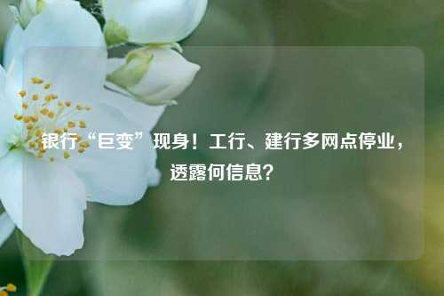 银行“巨变”现身！工行、建行多网点停业，透露何信息？ 客户信息 银行网点 银行 行业新闻 第1张
