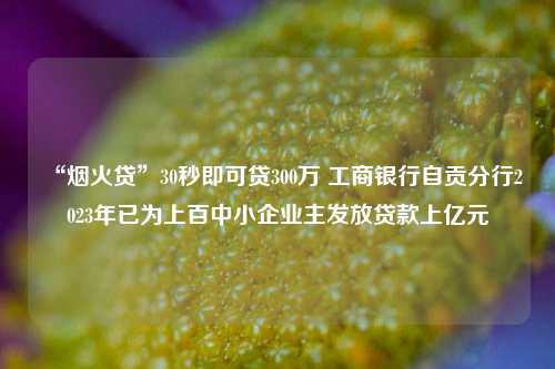 “烟火贷”30秒即可贷300万 工商银行自贡分行2023年已为上百中小企业主发放贷款上亿元 中小企业贷款 行业新闻 第1张