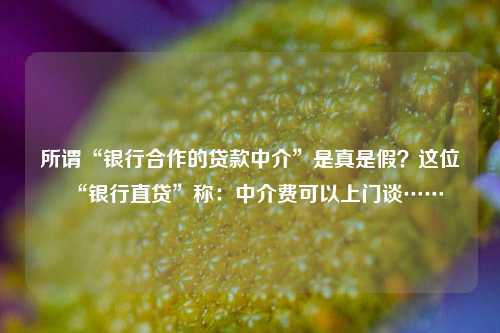 所谓“银行合作的贷款中介”是真是假？这位“银行直贷”称：中介费可以上门谈…… 金融 银行 行业新闻 第1张