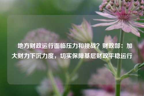 ​地方财政运行面临压力和挑战？财政部：加大财力下沉力度，切实保障基层财政平稳运行 宏观经济 国内宏观 地方财政 行业新闻 第1张