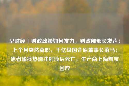 早财经 | 财政政策如何发力，财政部部长发声；上个月突然离职，千亿级国企原董事长落马；患者输痰热清注射液后死亡，生产商上海凯宝回应 珀莱雅 行业新闻 第1张