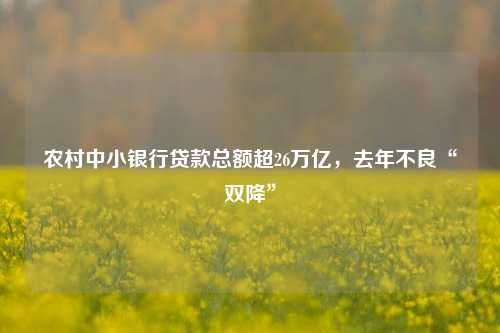 农村中小银行贷款总额超26万亿，去年不良“双降” 双降 银行贷款 银行 行业新闻 第1张