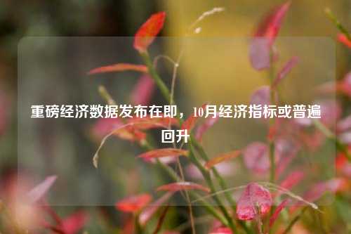 重磅经济数据发布在即，10月经济指标或普遍回升 宏观经济 消费投资 经济 行业新闻 第1张