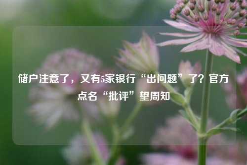 储户注意了，又有5家银行“出问题”了？官方点名“批评”望周知 银监会 金融 银行 行业新闻 第1张