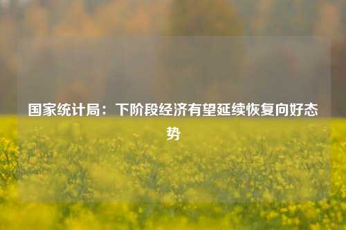 国家统计局：下阶段经济有望延续恢复向好态势 宏观经济 经济 国家统计局 行业新闻 第1张