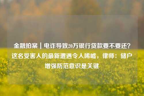 金融拍案｜电诈导致20万银行贷款要不要还？这名受害人的最新遭遇令人唏嘘，律师：储户增强防范意识是关键 法律 银行贷款 银行 行业新闻 第1张