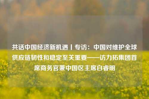 共话中国经济新机遇丨专访：中国对维护全球供应链韧性和稳定至关重要——访力拓集团首席商务官兼中国区主席白睿明 力拓集团 供应链 经济 行业新闻 第1张