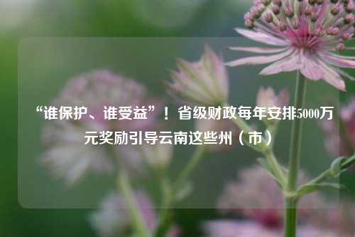 “谁保护、谁受益”！省级财政每年安排5000万元奖励引导云南这些州（市） 时政 环境保护 行业新闻 第1张