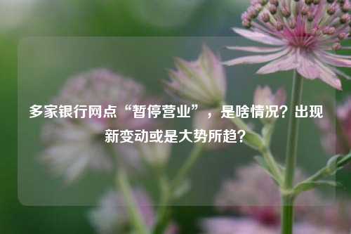 多家银行网点“暂停营业”，是啥情况？出现新变动或是大势所趋？ 金融 银行网点 银行 行业新闻 第1张