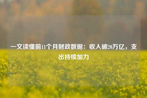 一文读懂前11个月财政数据：收入破20万亿，支出持续加力 宏观经济 国内宏观 税收 行业新闻 第1张