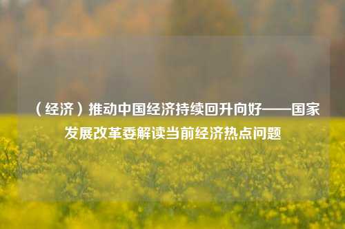 （经济）推动中国经济持续回升向好——国家发展改革委解读当前经济热点问题 李超 经济 行业新闻 第1张