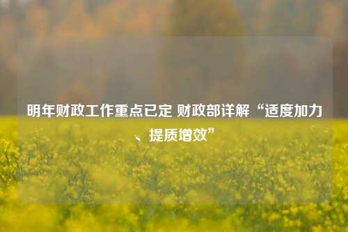 明年财政工作重点已定 财政部详解“适度加力、提质增效” 财政政策工具 国内宏观 赤字率 行业新闻 第1张