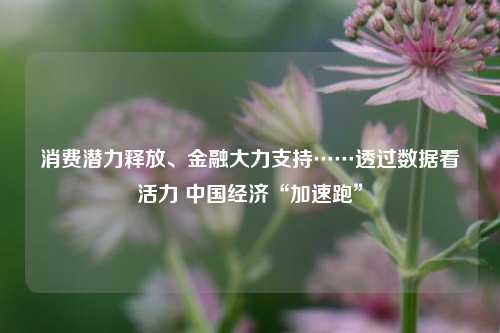 消费潜力释放、金融大力支持……透过数据看活力 中国经济“加速跑” 国内宏观 经济 金融 行业新闻 第1张