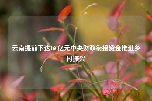 云南提前下达160亿元中央财政衔接资金推进乡村振兴 时政 行业新闻 第1张