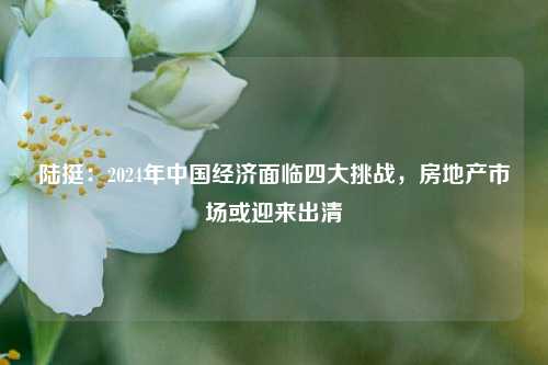 陆挺：2024年中国经济面临四大挑战，房地产市场或迎来出清 房地产业 市场出清 经济 行业新闻 第1张