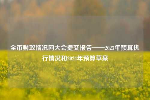 全市财政情况向大会提交报告——2023年预算执行情况和2024年预算草案 预算控制 预算执行 行业新闻 第1张