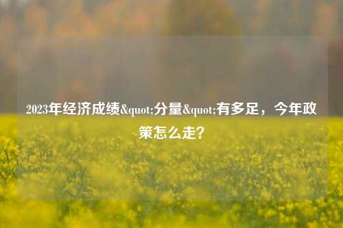 2023年经济成绩"分量"有多足，今年政策怎么走？ 经济 稳增长 王青 行业新闻 第1张