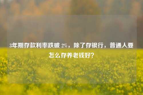 3年期存款利率跌破 2%，除了存银行，普通人要怎么存养老钱好？ 养老金 银行 养老保险 行业新闻 第1张