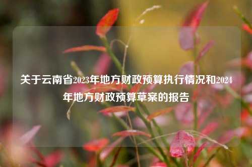 关于云南省2023年地方财政预算执行情况和2024年地方财政预算草案的报告 预算调整 资金预算 预算执行 行业新闻 第1张