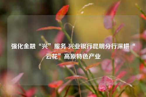 强化金融“兴”服务 兴业银行昆明分行深耕“云花”高原特色产业 金融 行业新闻 第1张