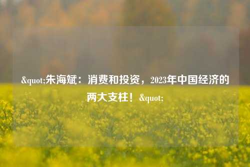 "朱海斌：消费和投资，2023年中国经济的两大支柱！" 朱海斌 消费投资 经济 行业新闻 第1张